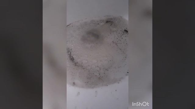 Чистый дом - счастливая жизнь