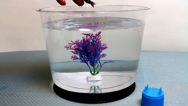 Robotic Fish Battle Challenge - Great Grey Shark versus RoboFish & AquaBots смотреть онлайн