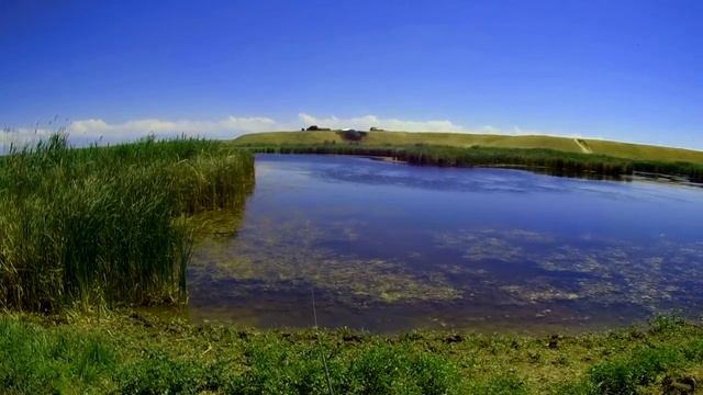 Змееголов, открытие сезона 2018 смотреть онлайн