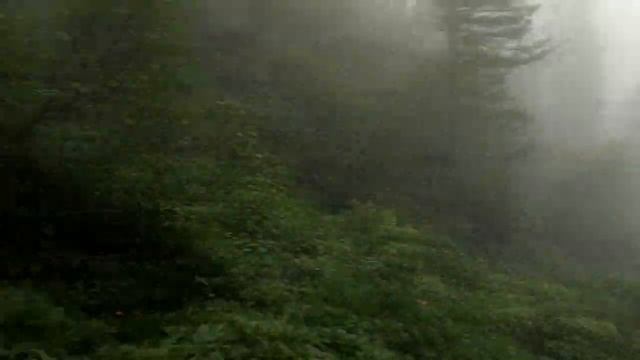 Поход в Саяны хребет Араданский, июль 2021 смотреть онлайн