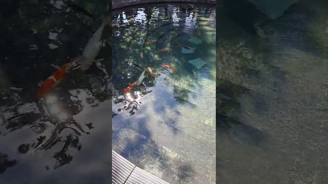 Рыбки 2 смотреть онлайн