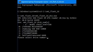 Как у меня сломался SSD и как починить satafirm s11