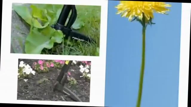 Инструмент для удаления сорняков Fiskars Smartfit 139960 смотреть онлайн