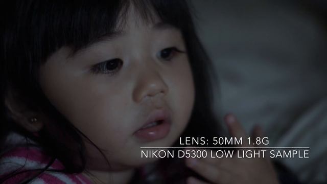 Nikon D5300 + 50mm 1.8g Lowlight test смотреть онлайн