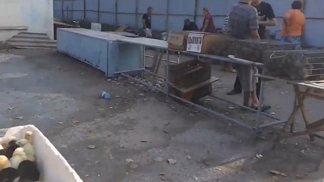 Луганск , ЛНР , любимый город , город детства, птичий рынок 3-й километр смотреть онлайн