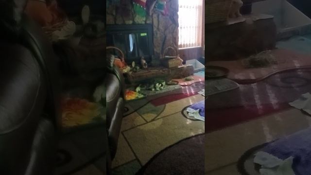 my sleepy boy смотреть онлайн