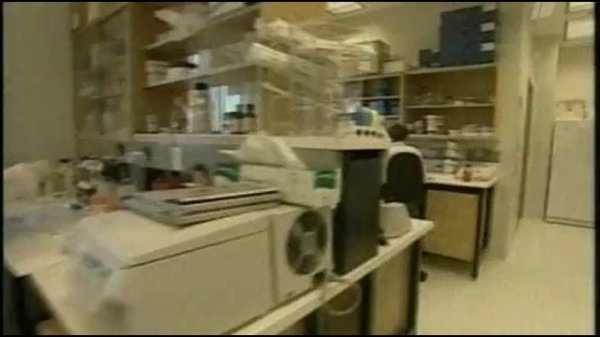 Среда обитания. Крашеная рыба