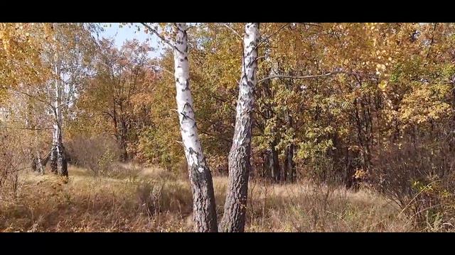 Здесь я родился, здесь Родина моя... смотреть онлайн