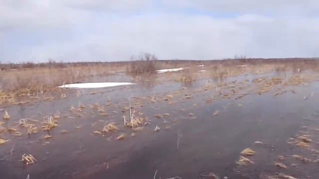 Вездеход 8х8 Соломономобиль 5 Тойское займище смотреть онлайн