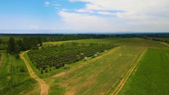 Выпуск #8 | Выгодно ли создавать кооперативы фермеров в Казахстане? История женщины-овощевода смотреть онлайн