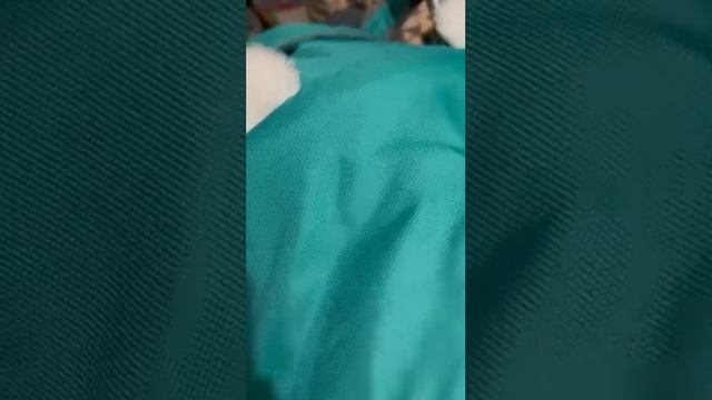 санки для продажи смотреть онлайн