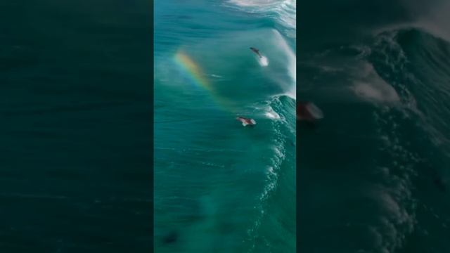 23-04-2024 жизнь как волны , энергия то в плюс, то в минус )