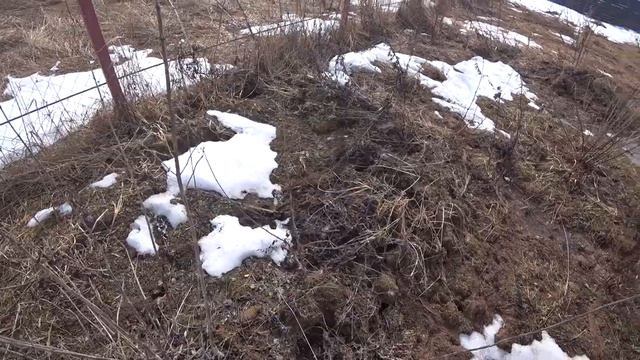 203. Редиска смотреть онлайн