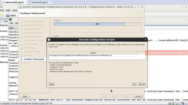 OGG 12.3 Part -1- Installing Oracle Golden Gate 12.3 смотреть онлайн