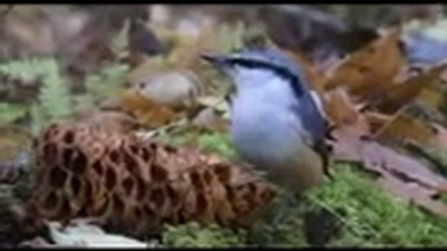 Рыбалка 85 смотреть онлайн