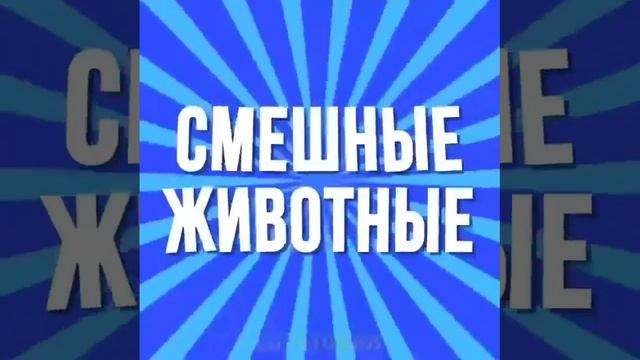 20230806-8982-1egzt35