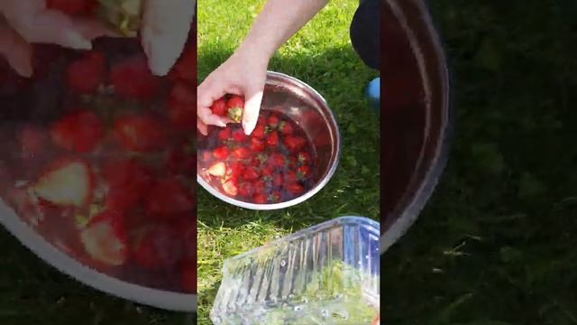 Моем клубнику смотреть онлайн