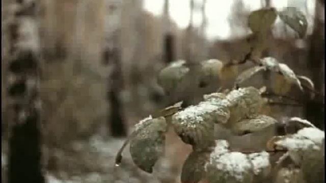 Майя Кристалинская за кадром Люди как реки смотреть онлайн