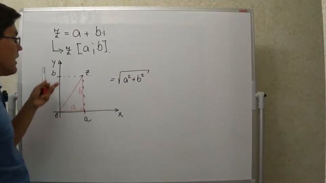 Тригонометрическая форма комплексного числа. Теория 1 смотреть онлайн