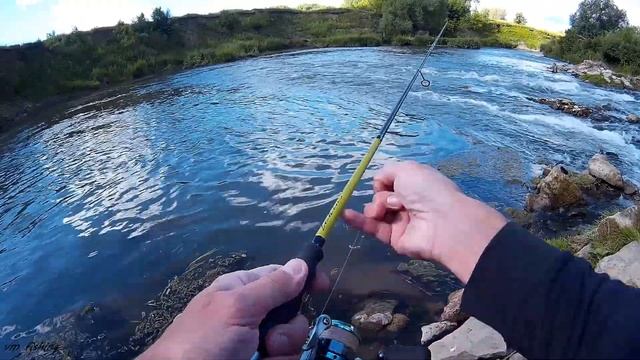 ГОЛАВЛЬ НА ПЕРЕКАТАХ. РЫБАЛКА на ультралайт, река МЁША! смотреть онлайн