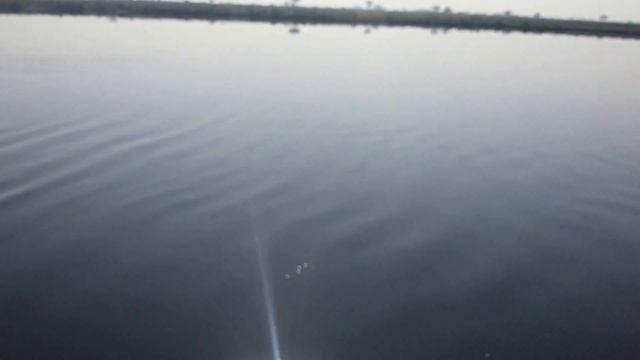 Река, Ямуна, собачки, садху