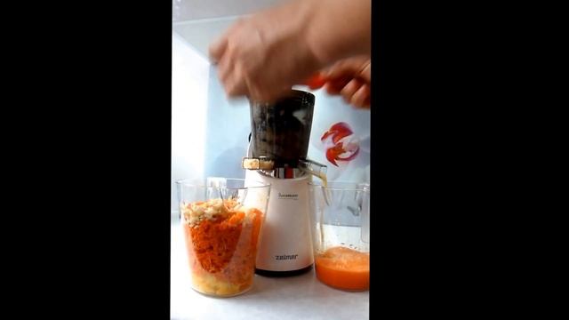 Wyciskarka Zelmer Juicemaker One JP1600W Pyszne soki!! смотреть онлайн