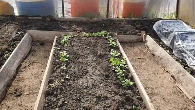 86. 16е Апреля. Начало..mp4 смотреть онлайн