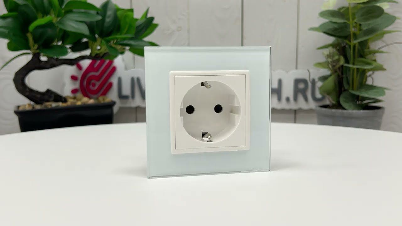 Розетка электрическая LIVOLO, зажимы, белая, VL-FCTC16A-2WPS01