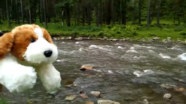 Siberian Expeditions, Элекмонар, авто-путешествия Рекса по Горному Алтаю. смотреть онлайн