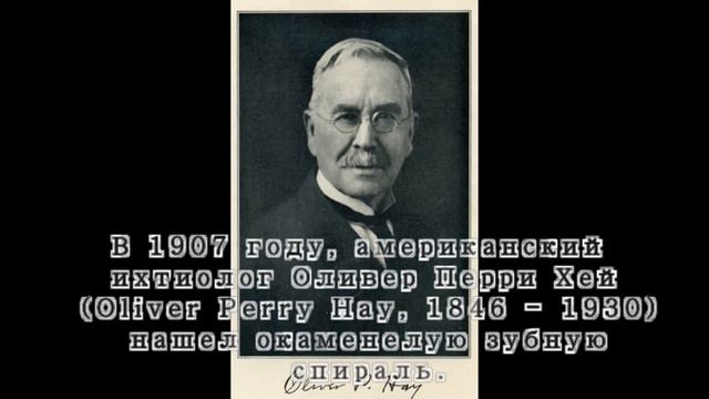 Геликоприон Helicoprion bessonovi (часть 2) смотреть онлайн