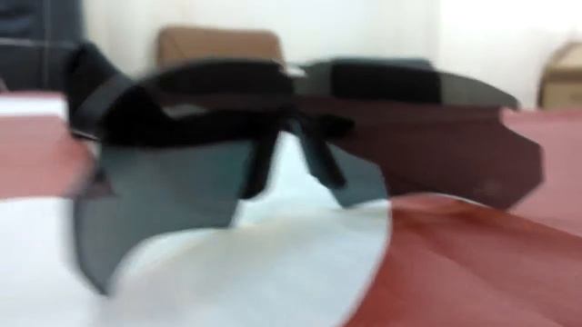 Очки тактические  ESS CROSSBOW 2LS