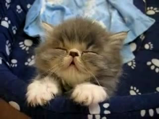 "Засыпай..." смотреть онлайн