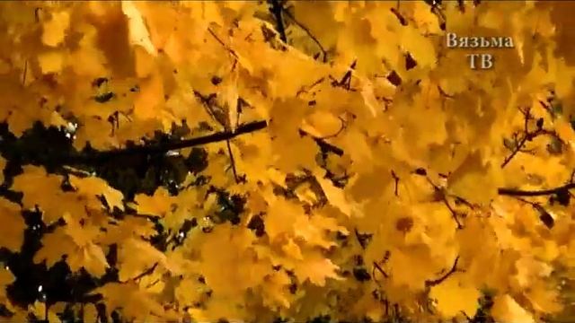 «Меня не лечит время» - В.Е. Рудницкий смотреть онлайн