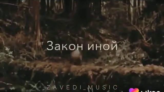 Закон значит закон
