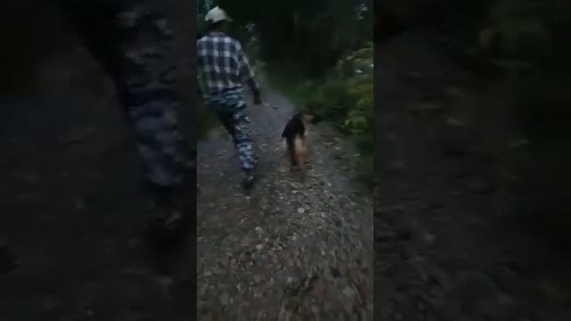 Приморский край, посёлок Шумный, подъём в реке Павловка смотреть онлайн