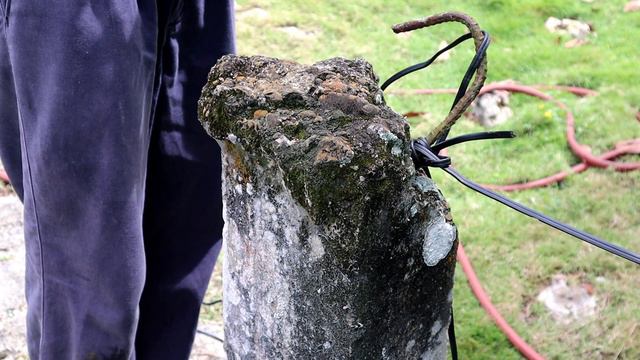 Moro- Vivero III | Nemesia смотреть онлайн