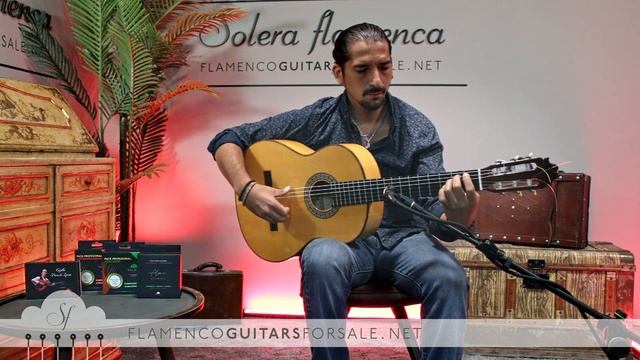 Francisco Sánchez 2023 flamenco guitar for sale played by José Andrés Cortés смотреть онлайн
