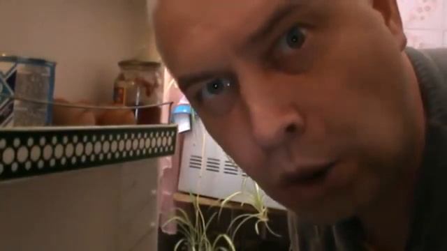 что вы делаете в моём холодильнике Геннадий Горин