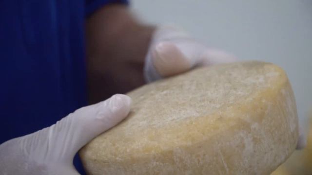 Как мы съездили в гости на сыроварню «Тивьерские луга» смотреть онлайн