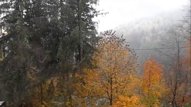 Осенние Карпаты Autumn Carpathians