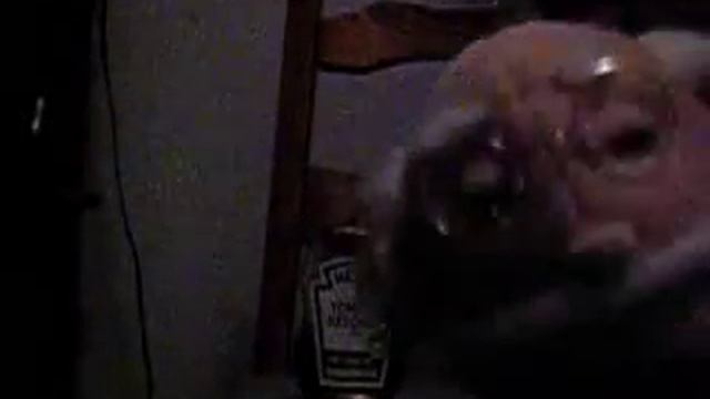 Dr.moody Heinz Ketchtup. смотреть онлайн
