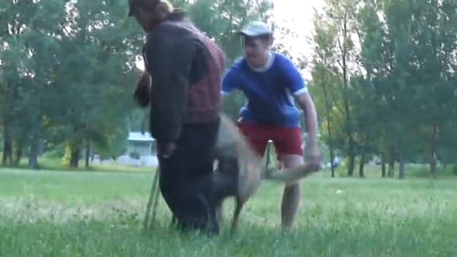 Жара и холод смотреть онлайн