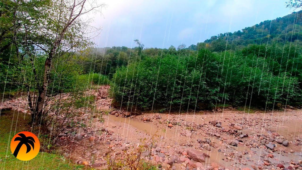 Rain Sound and Relaxing Nature for Sleeping or Meditation смотреть онлайн