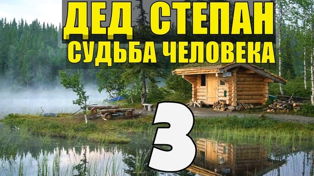 0823 - ДЕД СТЕПАН НА ФРОНТЕ _ РАЗВЕДЧИКИ В ЛЕСУ _ ШПИОНЫ НА МОТОЦИКЛЕ _ СУДЬБА ЧЕЛОВЕКА 3.mp4 смотреть онлайн