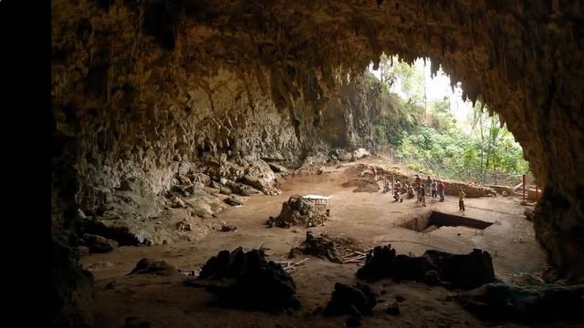 Восточные малые зондске острова. Остров Комодо смотреть онлайн