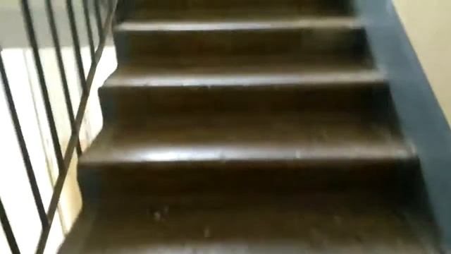 Агрессивный Кот дерется смотреть онлайн