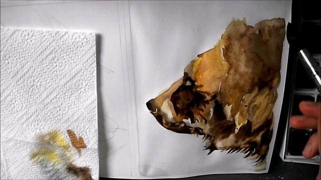 рисунок медведя акварелью. Aquarellmalerei: Bär