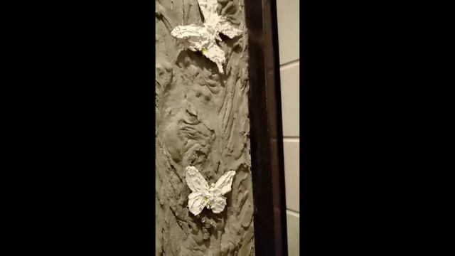 Бюджетный дизайн от Ростовчанки- откосы входной двери