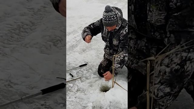 Сезон 2023 продолжается...#рыбалка #рыбалка53 #ловлящуки смотреть онлайн