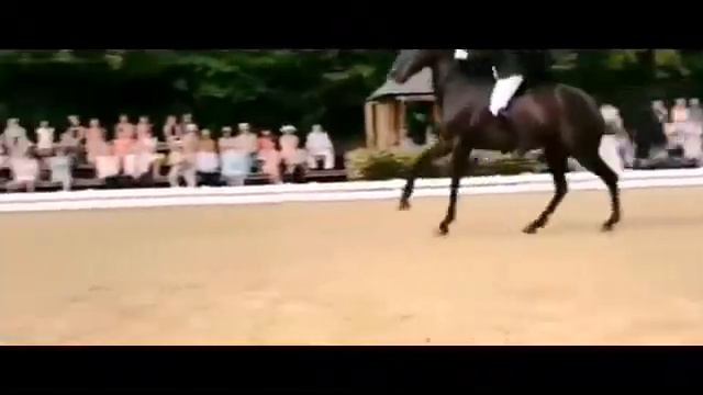 Оствинд : клип/// 1 часть на мой любимый фильм!!! смотреть онлайн